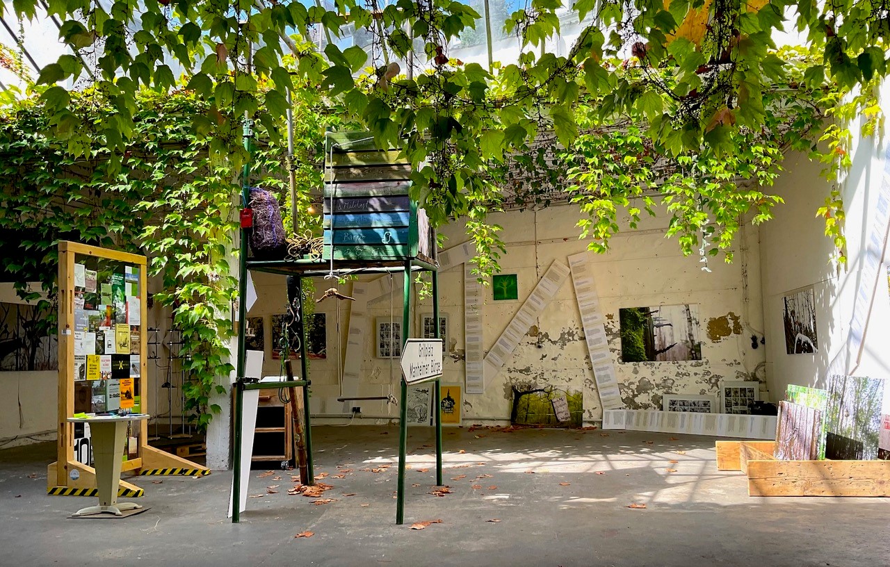 Eine Ausstellung in einem hellen Raum mit Glasdach, durch welches die Sonne scheint. Von der Decke hängen Weinreben, auf dem Betonboden liegt etwas herbstliches Laub. An den Wänden sind Bilder und Plakate mit Text zu sehen. Im Raum steht eine große Pinnwand mit bunten Flyern, ein kleiner Tisch und eine Art Hochstand.