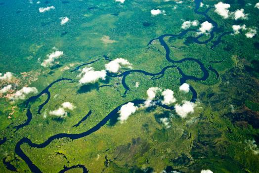 Amazonasgebiet