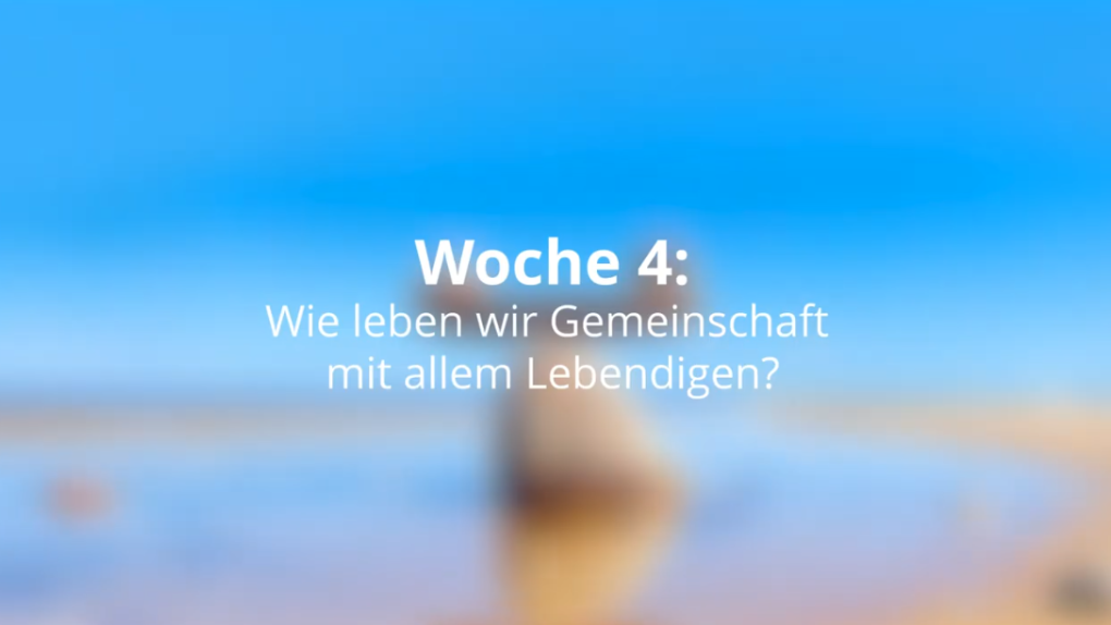 Ein Beispiel aus der Praxis: Das Projekt Querbeet in Aachen.